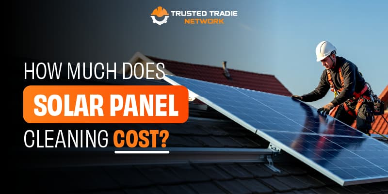 A glimpse into the world of gourmet dining.