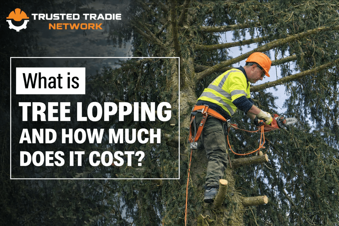 What Is Tree Lopping & How Much Does It Cost? | Complete Guide