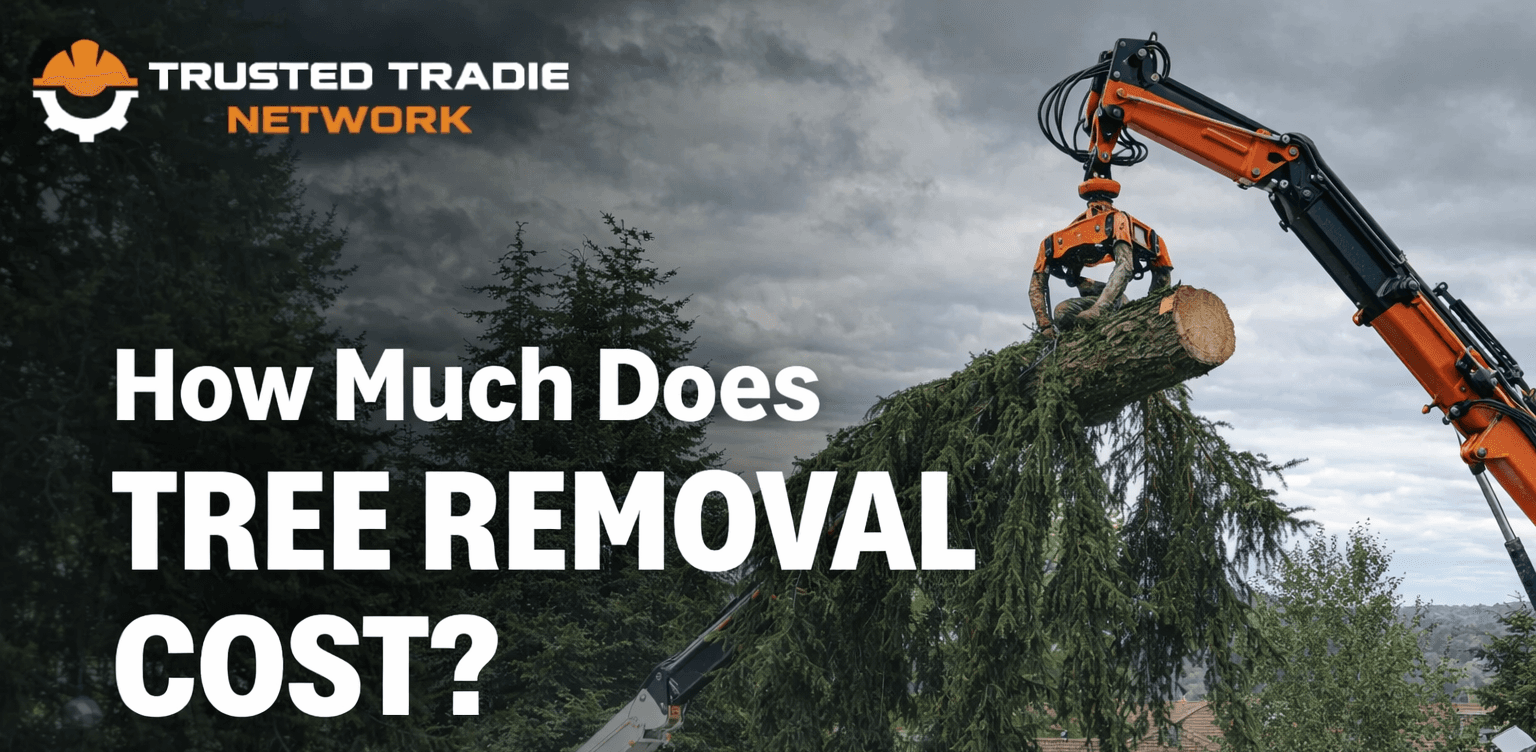 A glimpse into the world of gourmet dining.