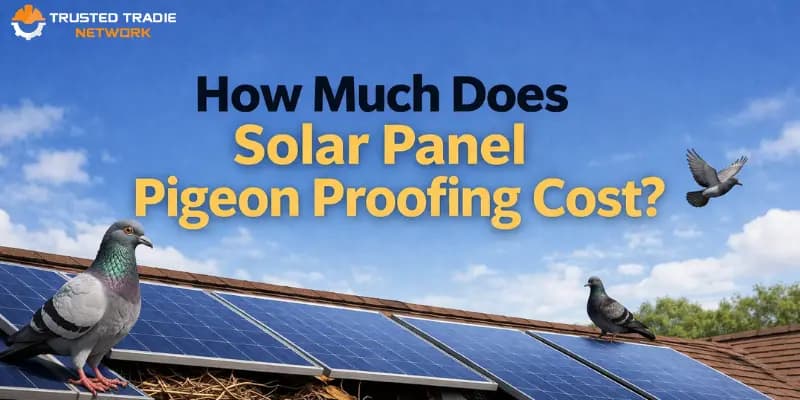 A glimpse into the world of gourmet dining.