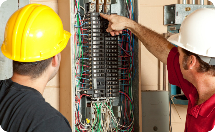 Professional Tradies