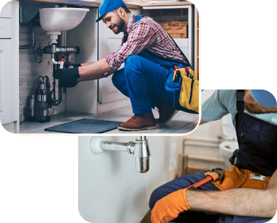 Professional Tradies